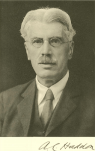 A C Haddon